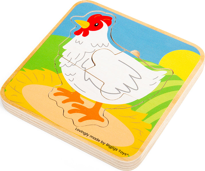 Lifecycle Puzzle - Chicken