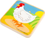 Lifecycle Puzzle - Chicken