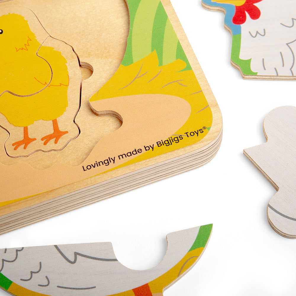 Lifecycle Puzzle - Chicken