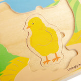 Lifecycle Puzzle - Chicken