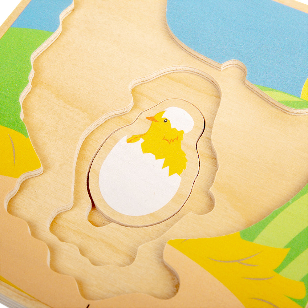 Lifecycle Puzzle - Chicken
