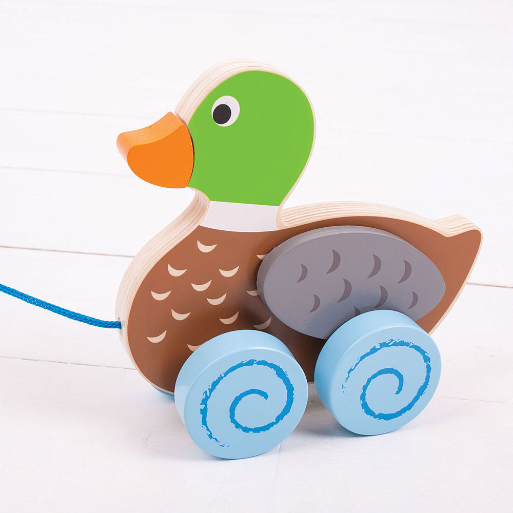 Pull Along (Duck)