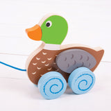 Pull Along (Duck)