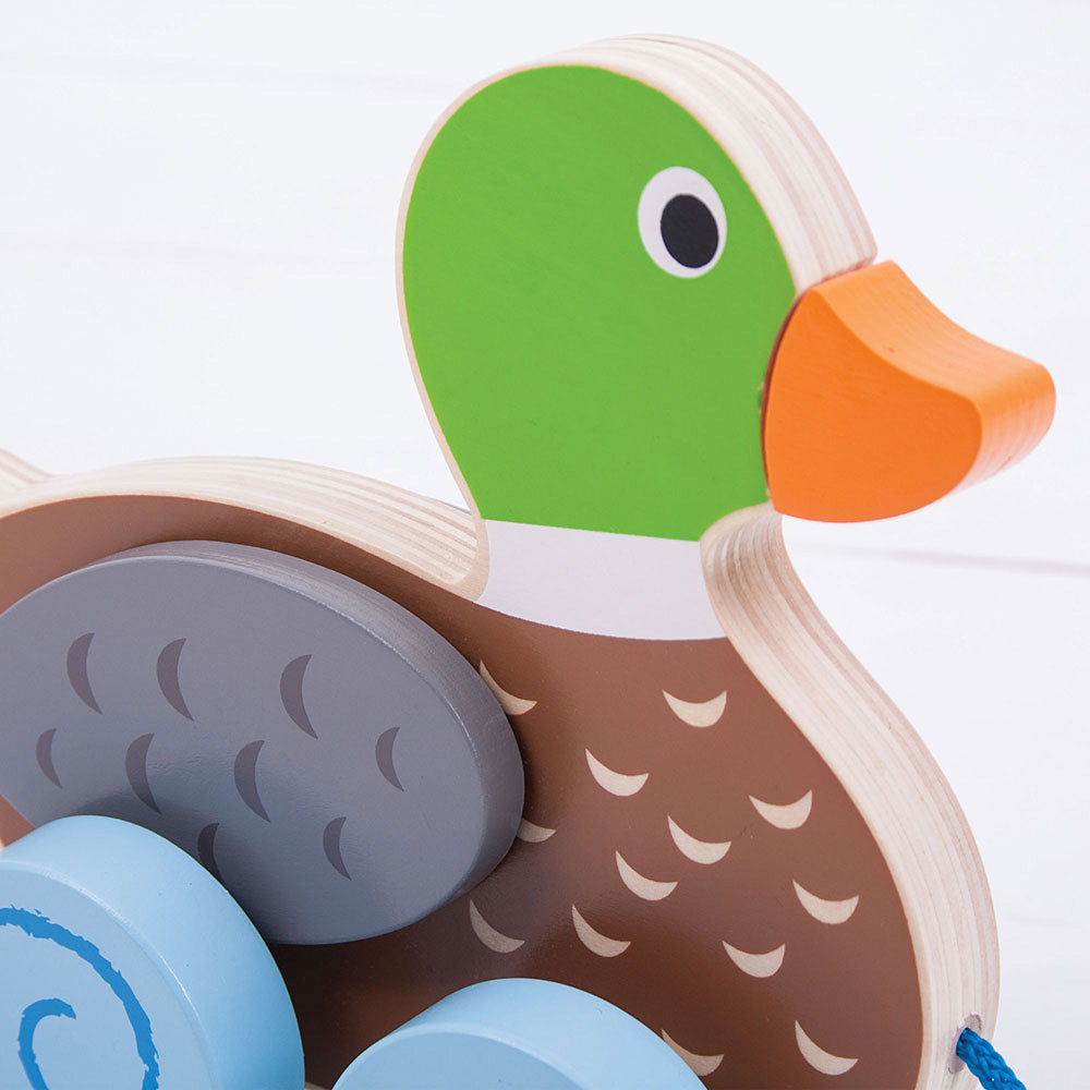 Pull Along (Duck)