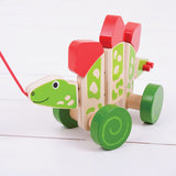 Pull Along (Stegosaurus)