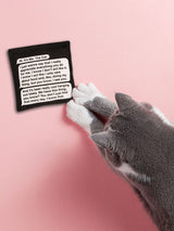 Rambling, Late-Night Text From Your Cat Catnip Toy
