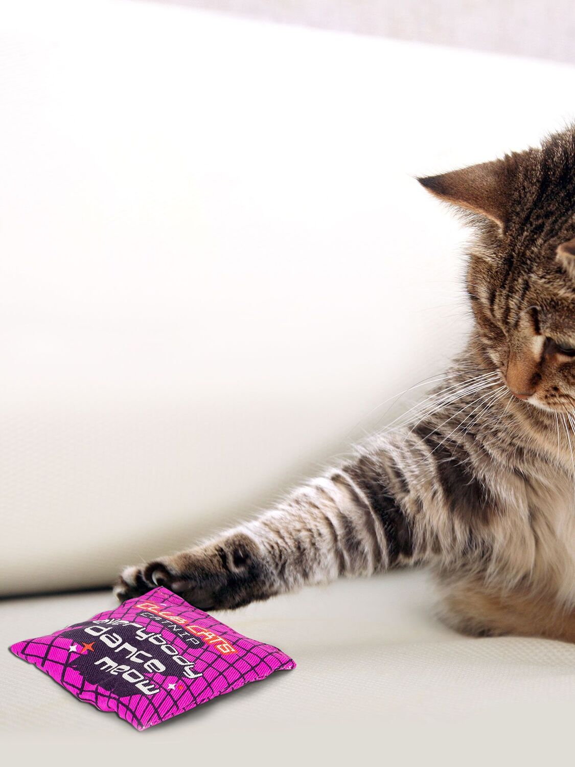 Everybody Dance Meow. Club Cats. Catnip Toy