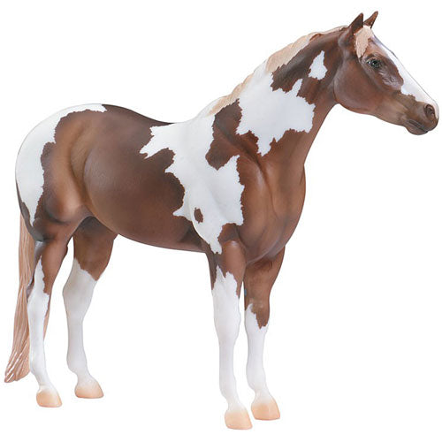 Paint Performance Mare