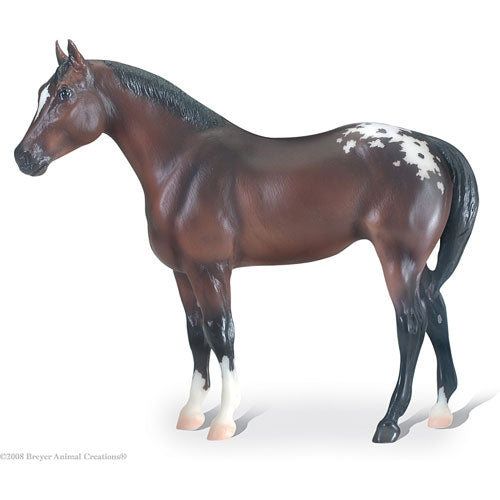 Appaloosa
