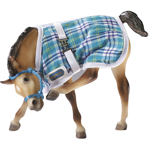 Foal Blanket