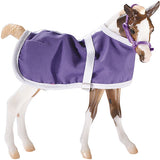Foal Blanket