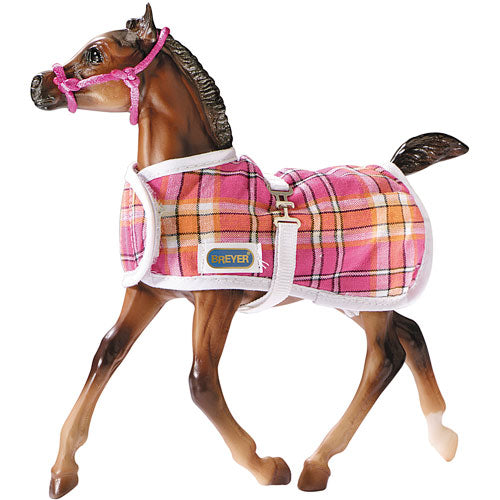 Foal Blanket