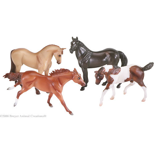 Saddle Club Horses