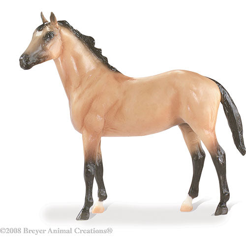 Buckskin Thoroubred Cross