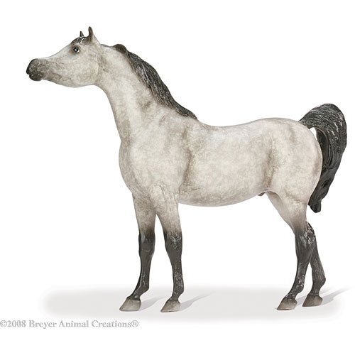 Arabian Stallion Dapple Grey