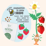Paint and Grow- Strawberry