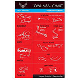 Copernicus Real Owl Pellet