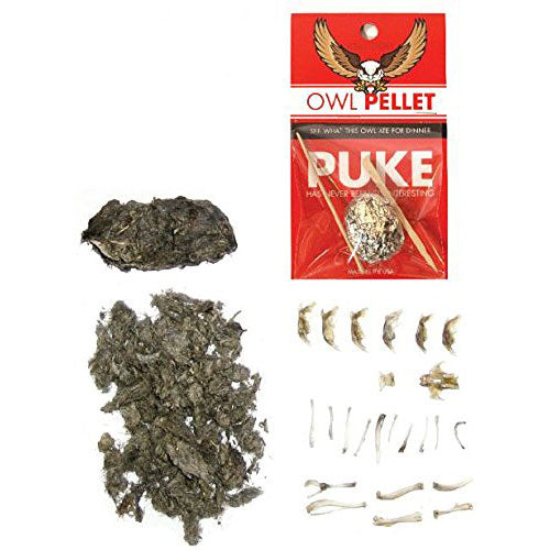 Copernicus Real Owl Pellet