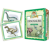 Professor Noggin's Dinosaurs Card Game