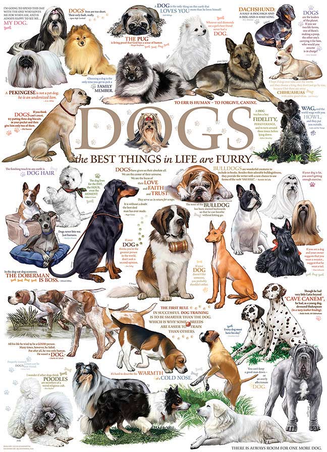 Dog Quotes