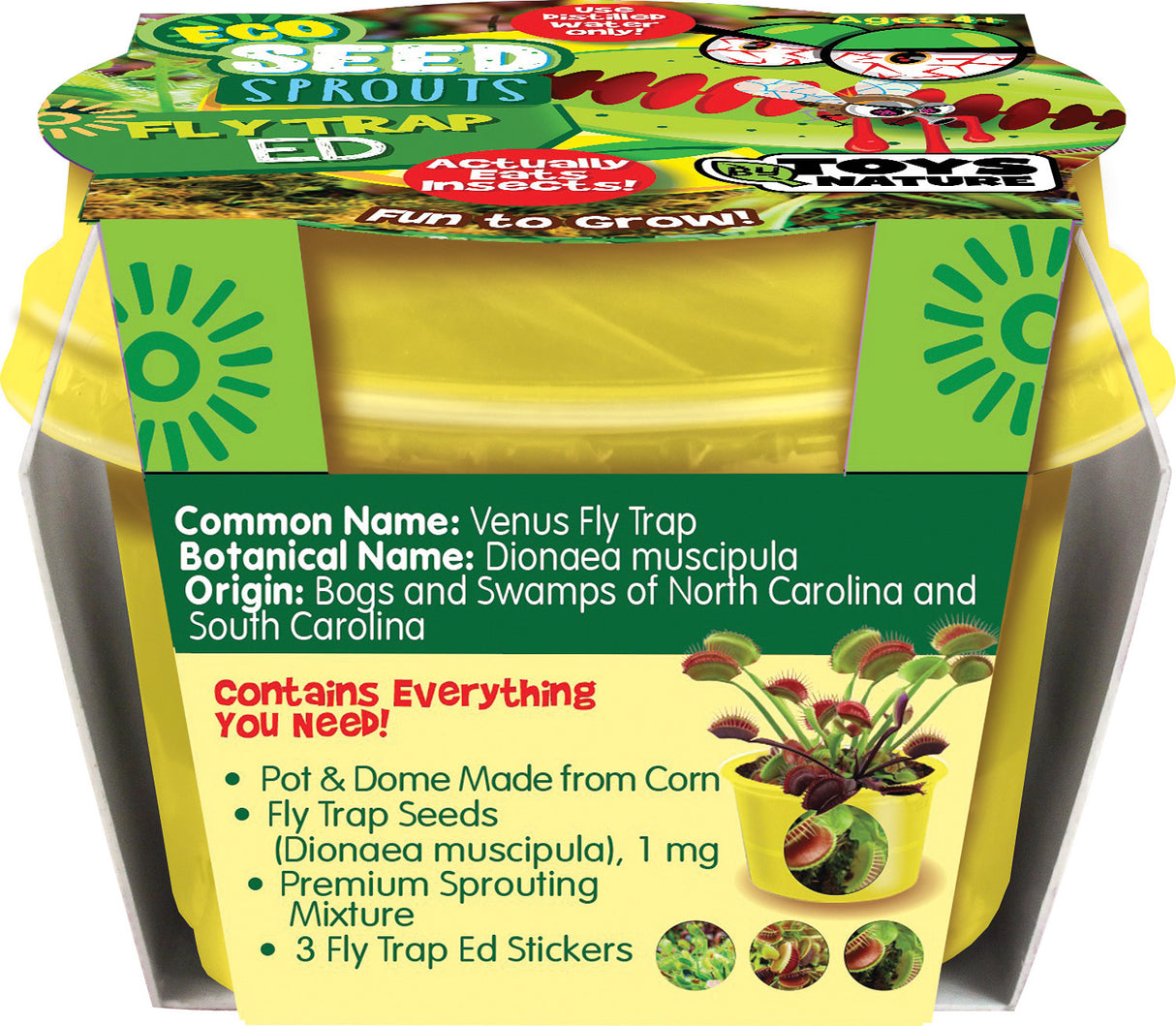 Fly Trap Ed