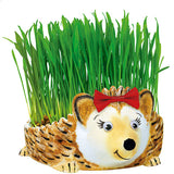 Grow a Hedgehog