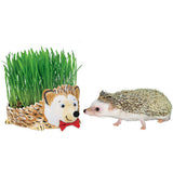 Grow a Hedgehog