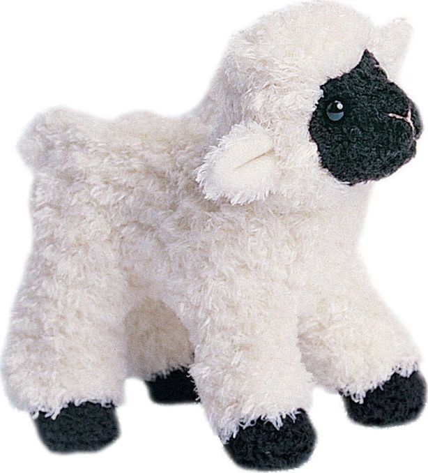 Clementine Lamb