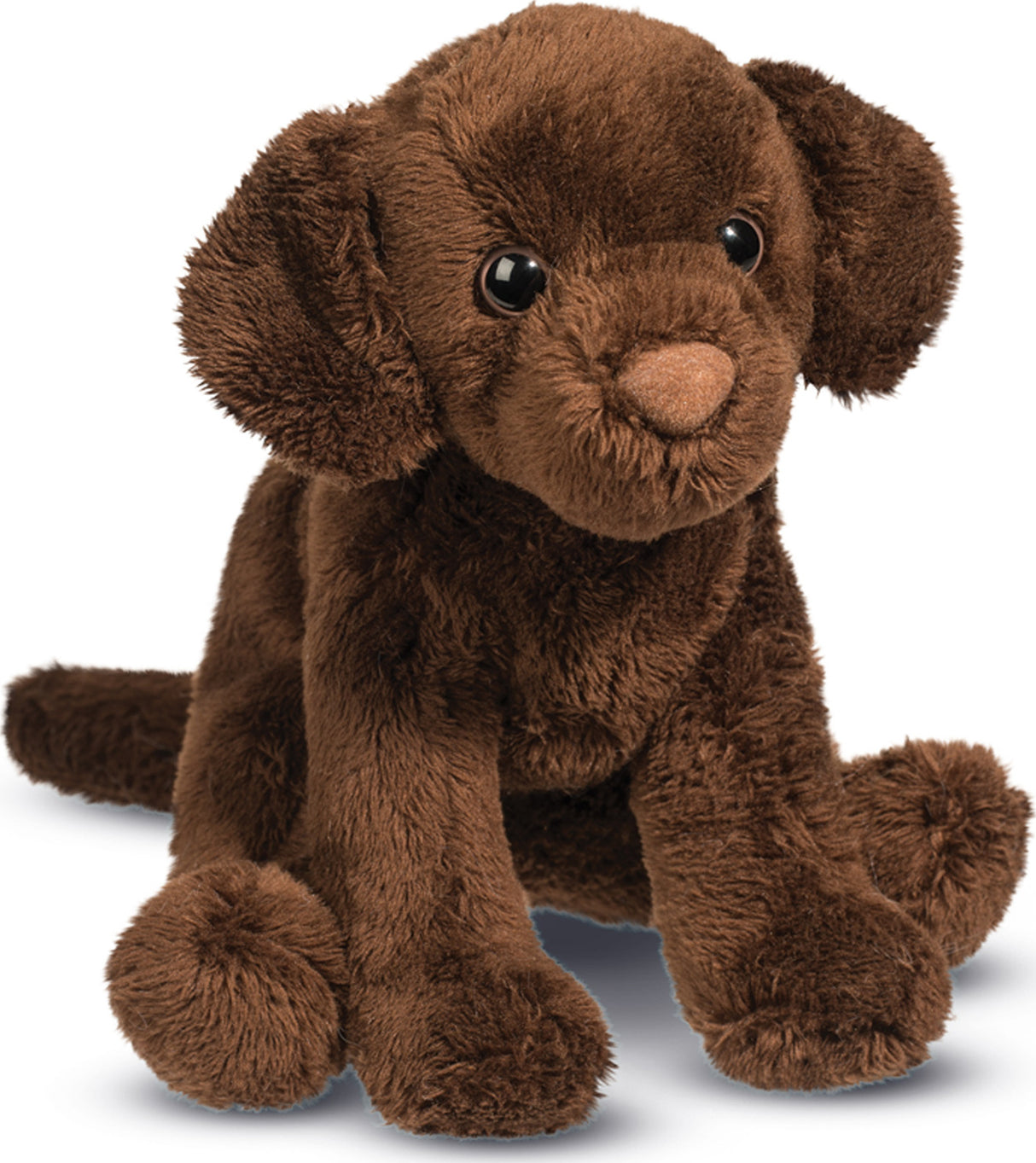 Finn Choc Lab