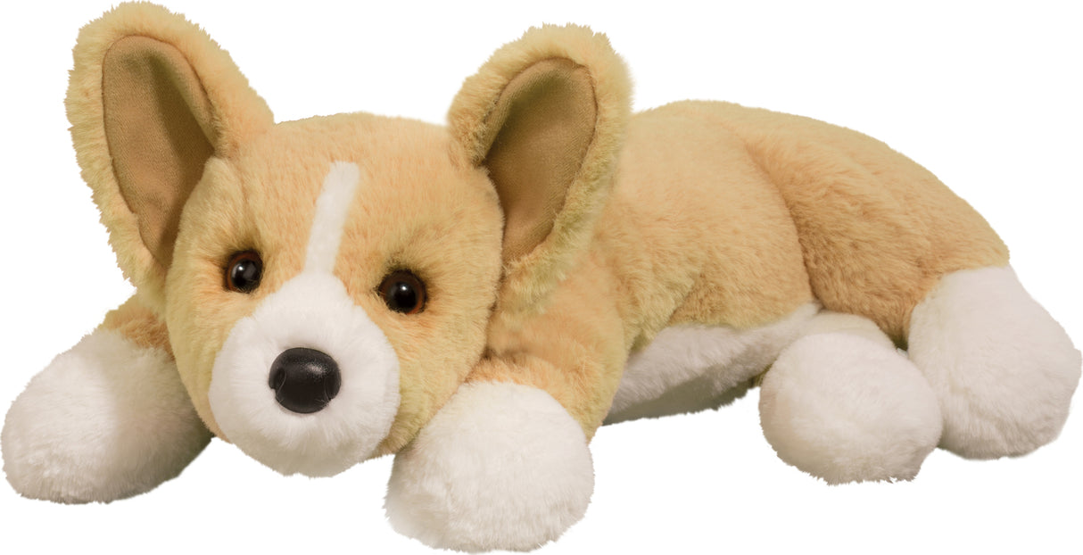 RUDY CORGI