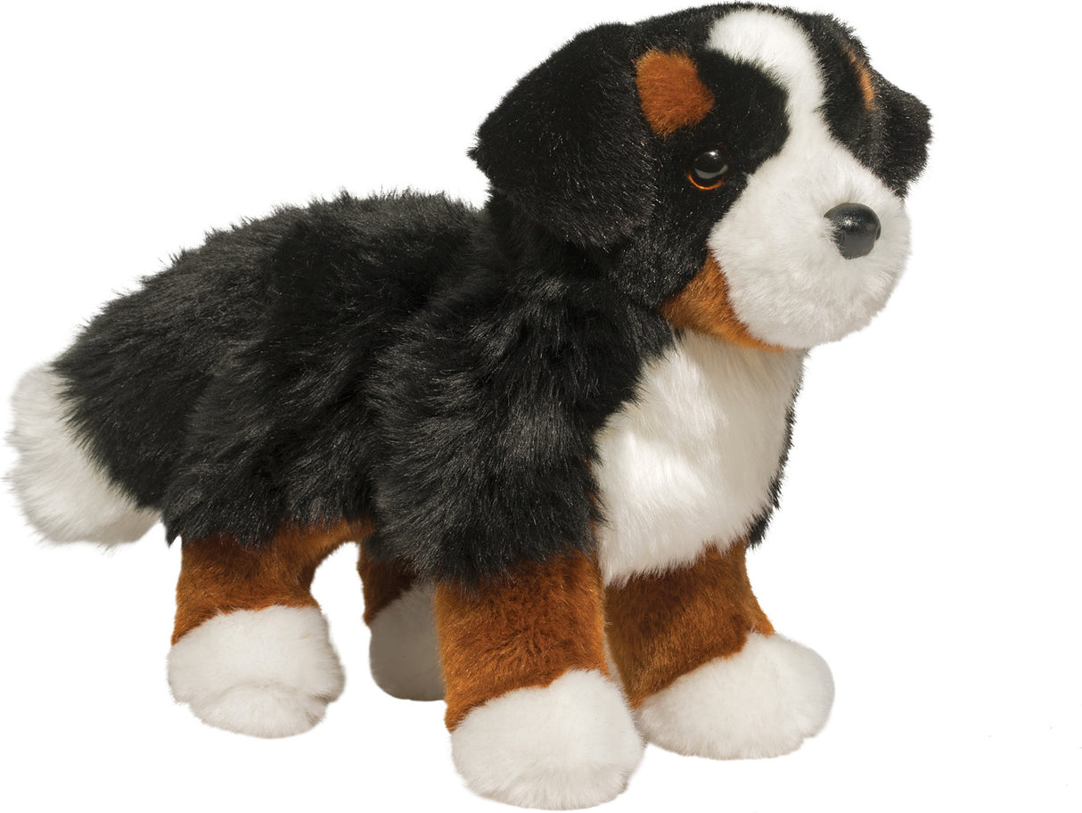 Stevie Bern Mt Dog