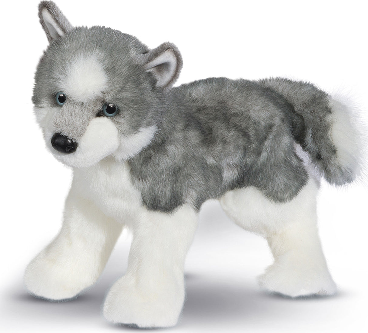 sasha husky