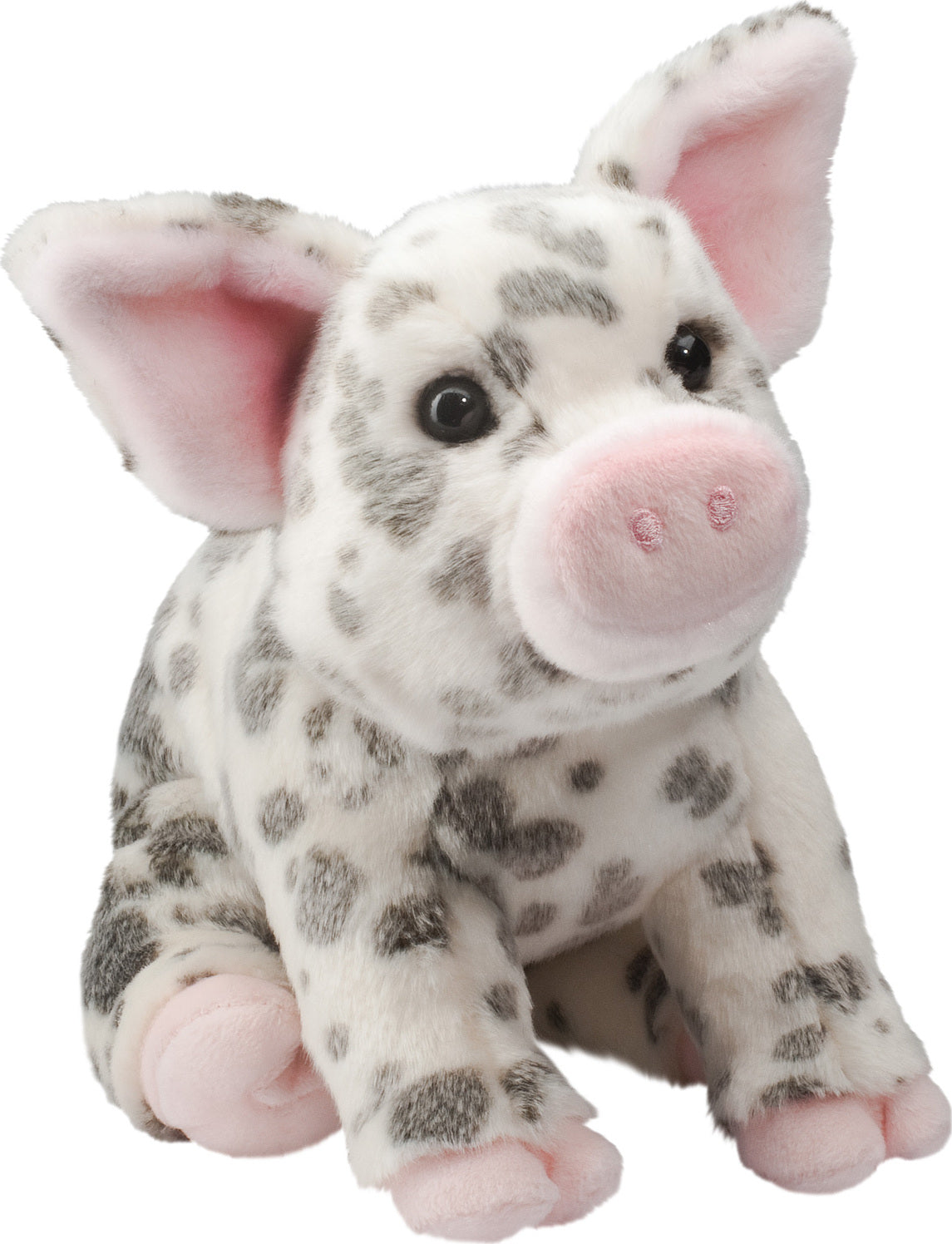 Pauline the Pig