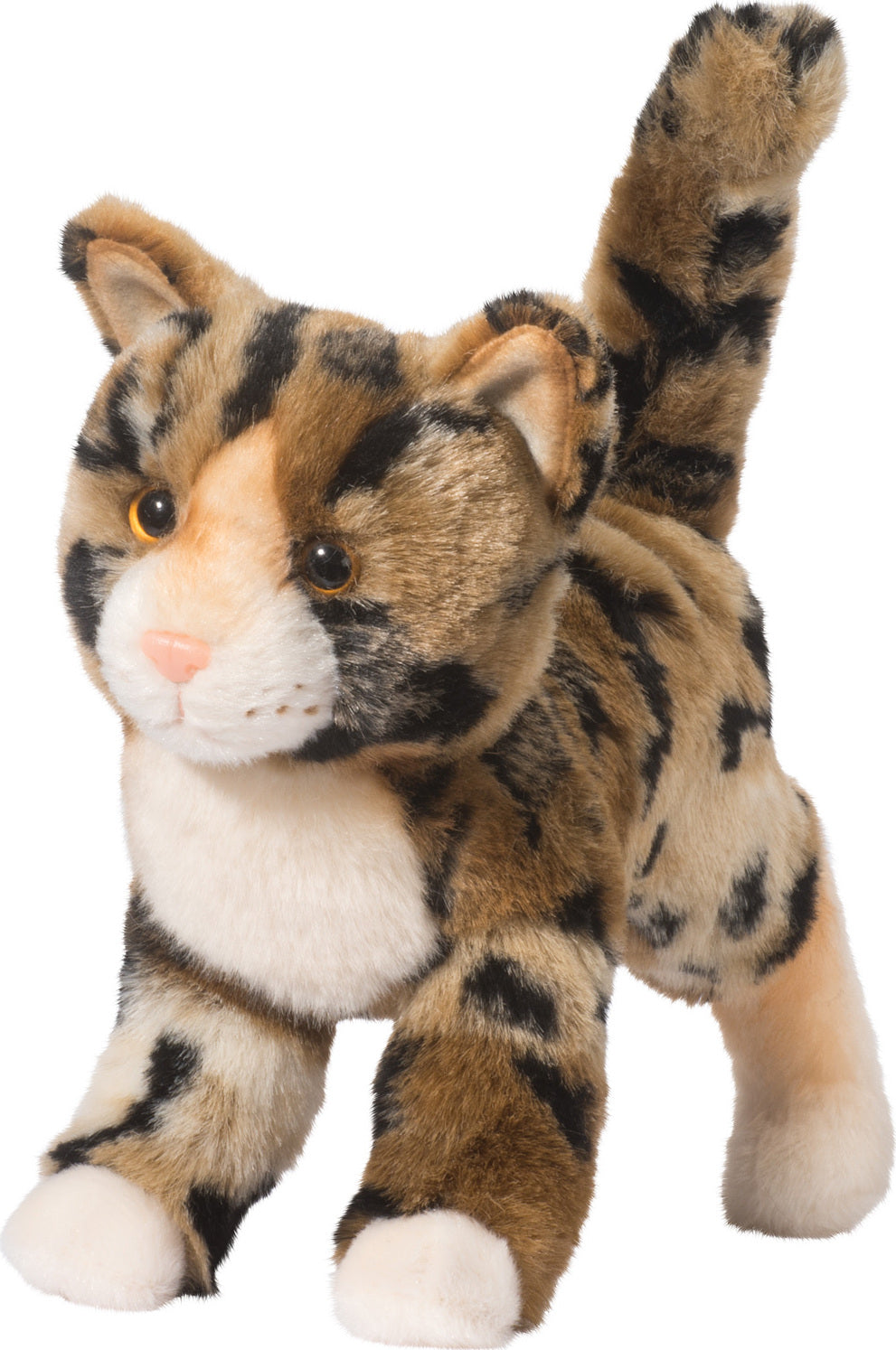 TASHETTE BENGAL CAT