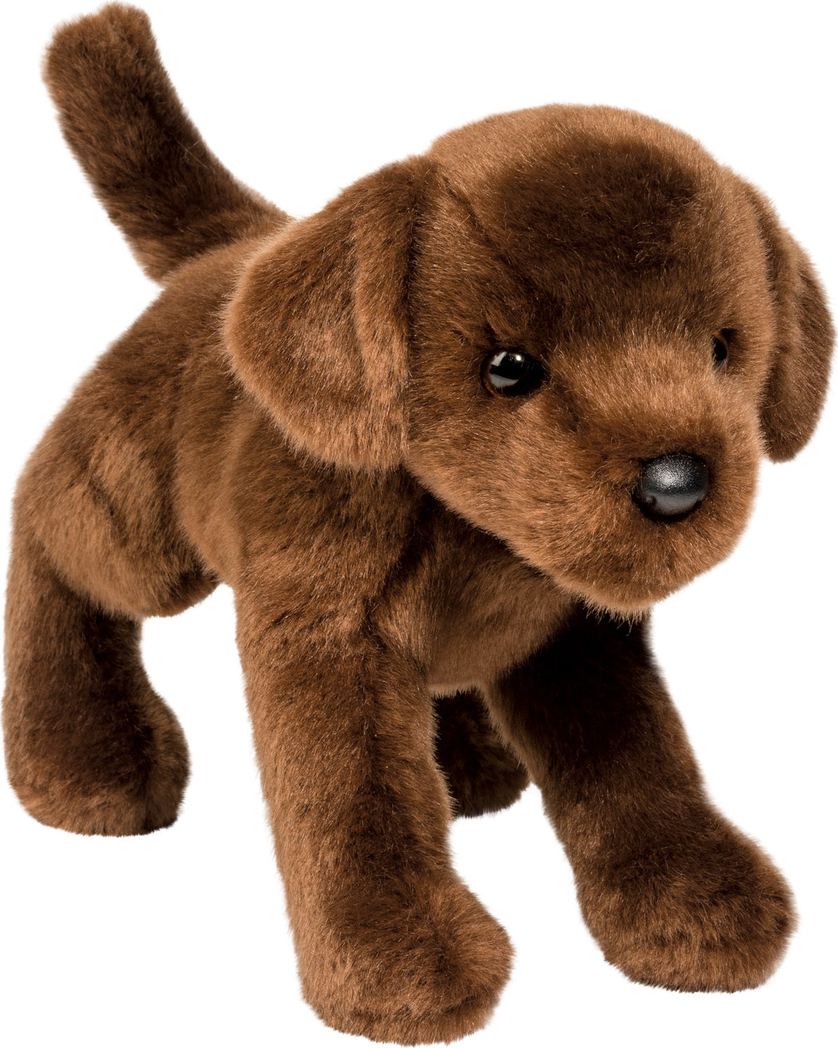 Cc Bean Choco Lab