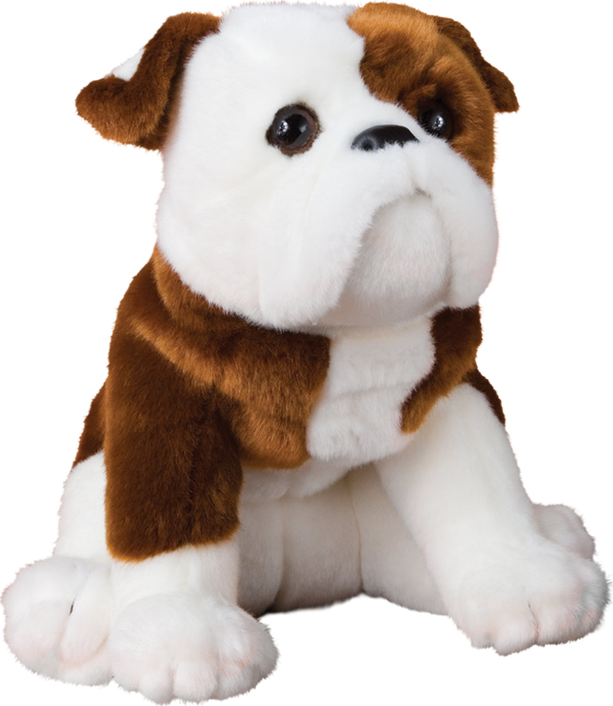 Hardy Bull Dog