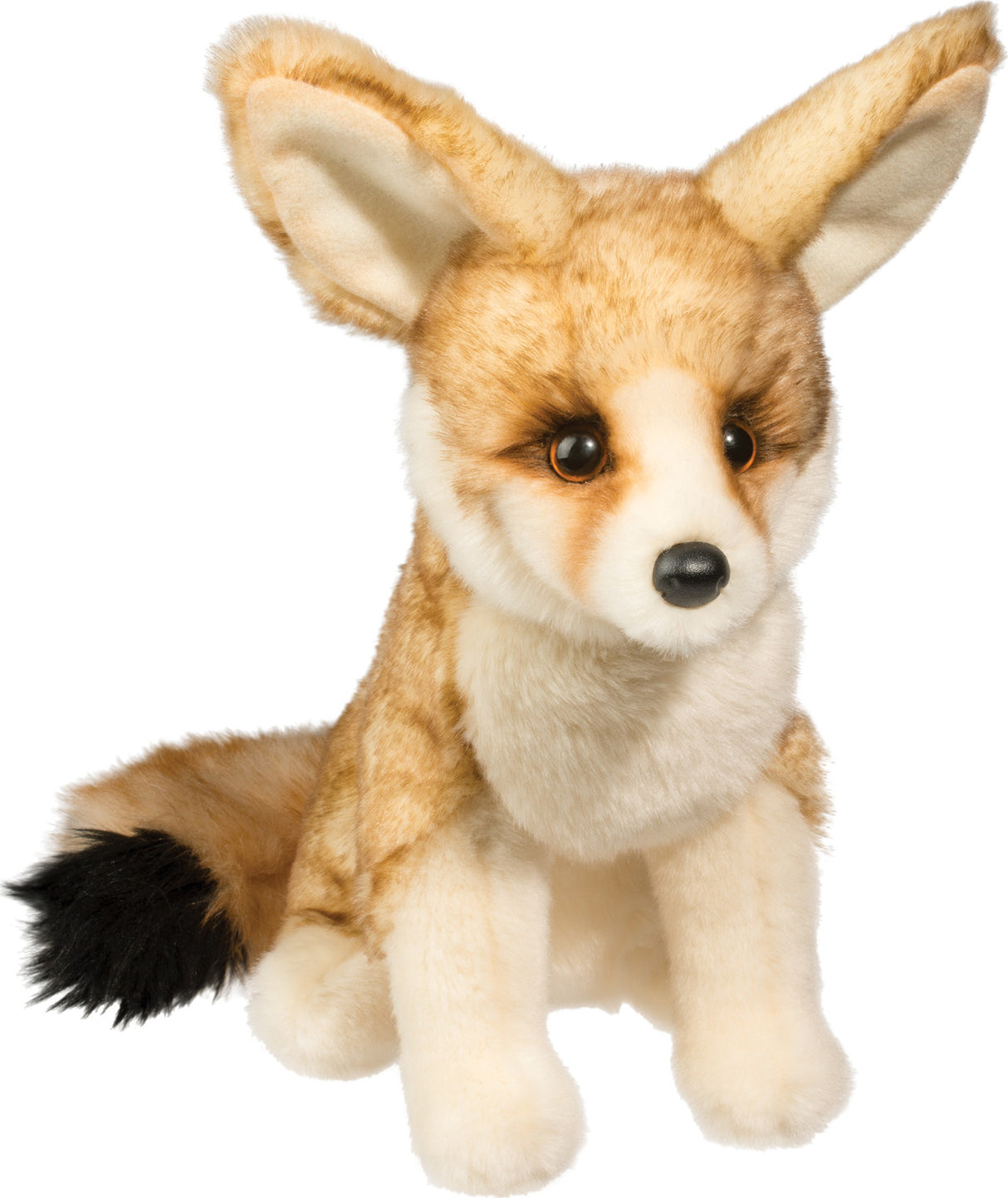 Sly Fennec Fox