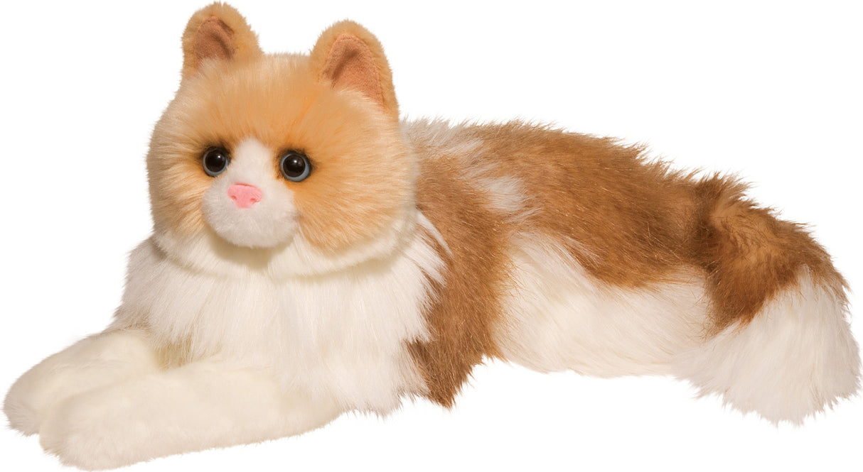KIKI RAGDOLL CAT