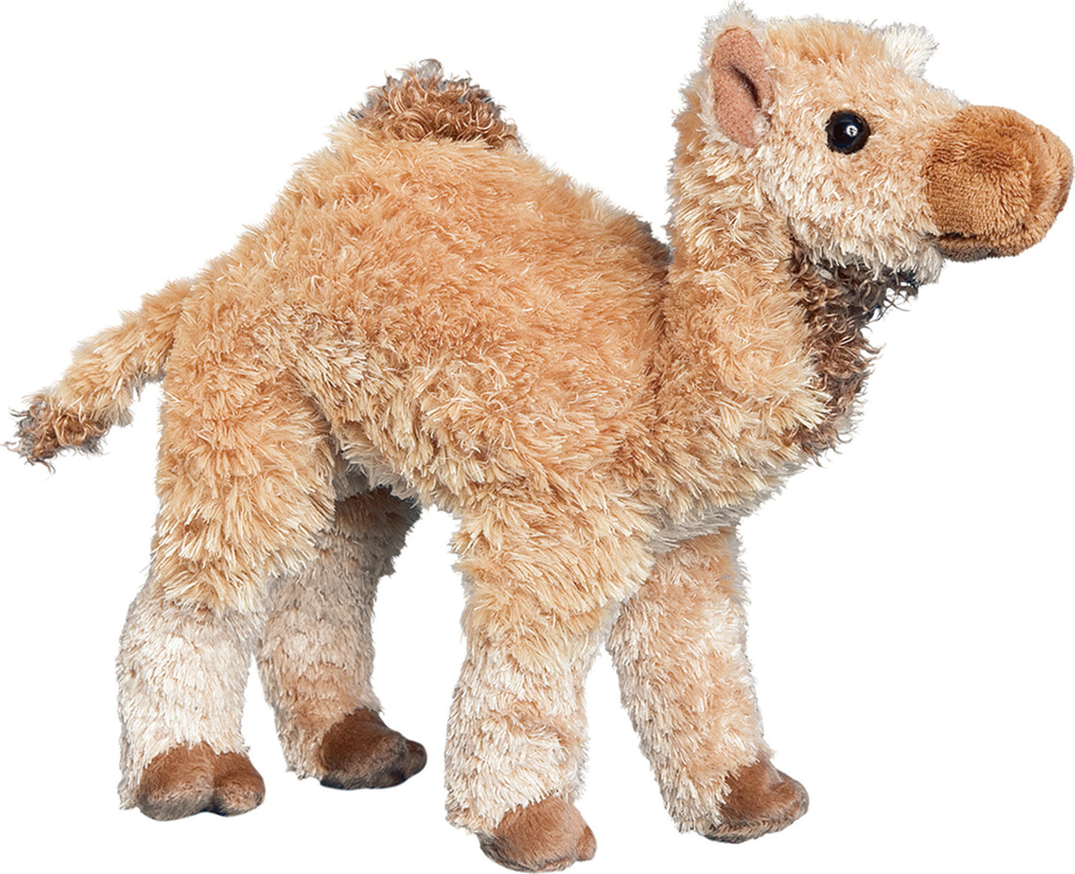 LAWRENCE CAMEL