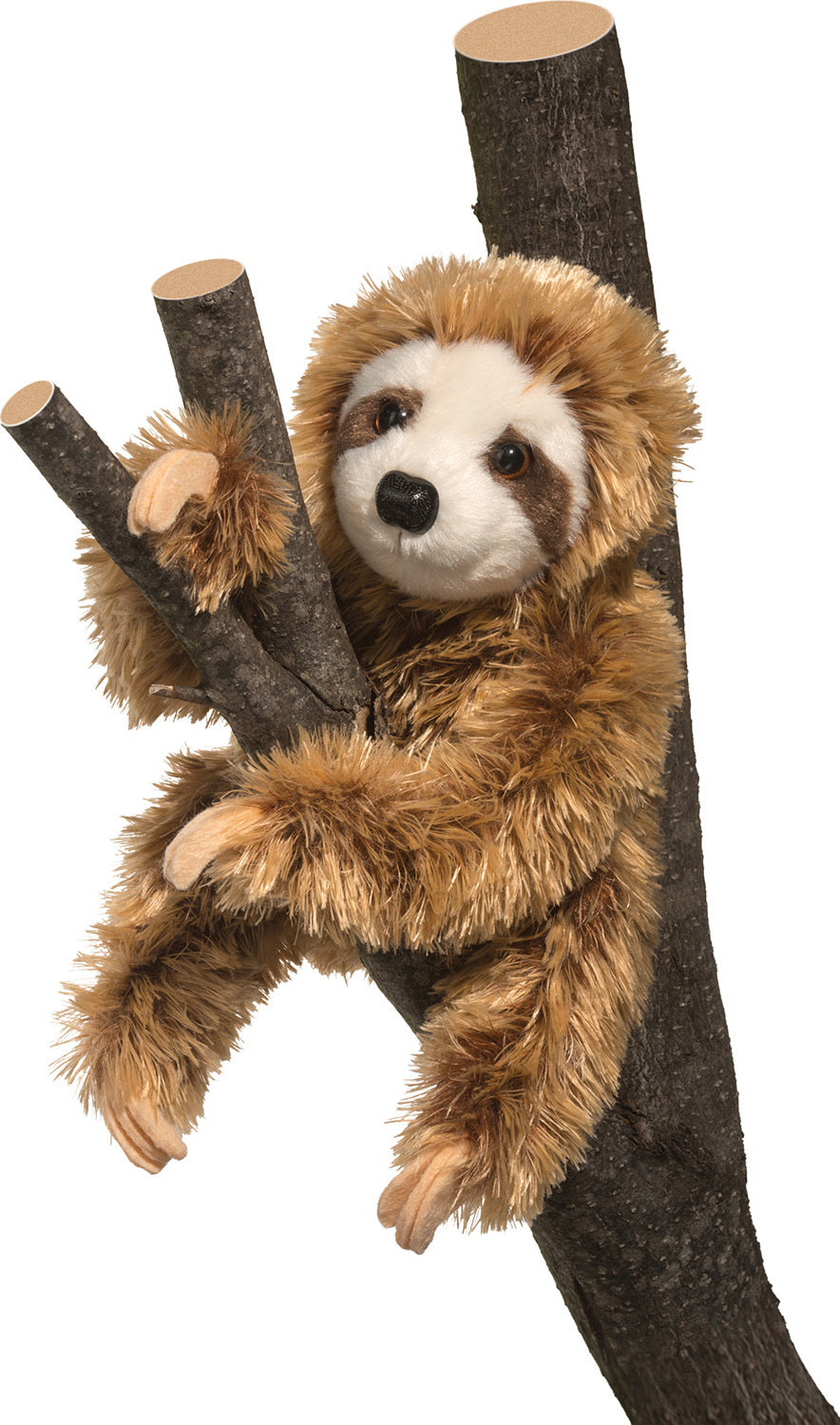 SIMON SLOTH