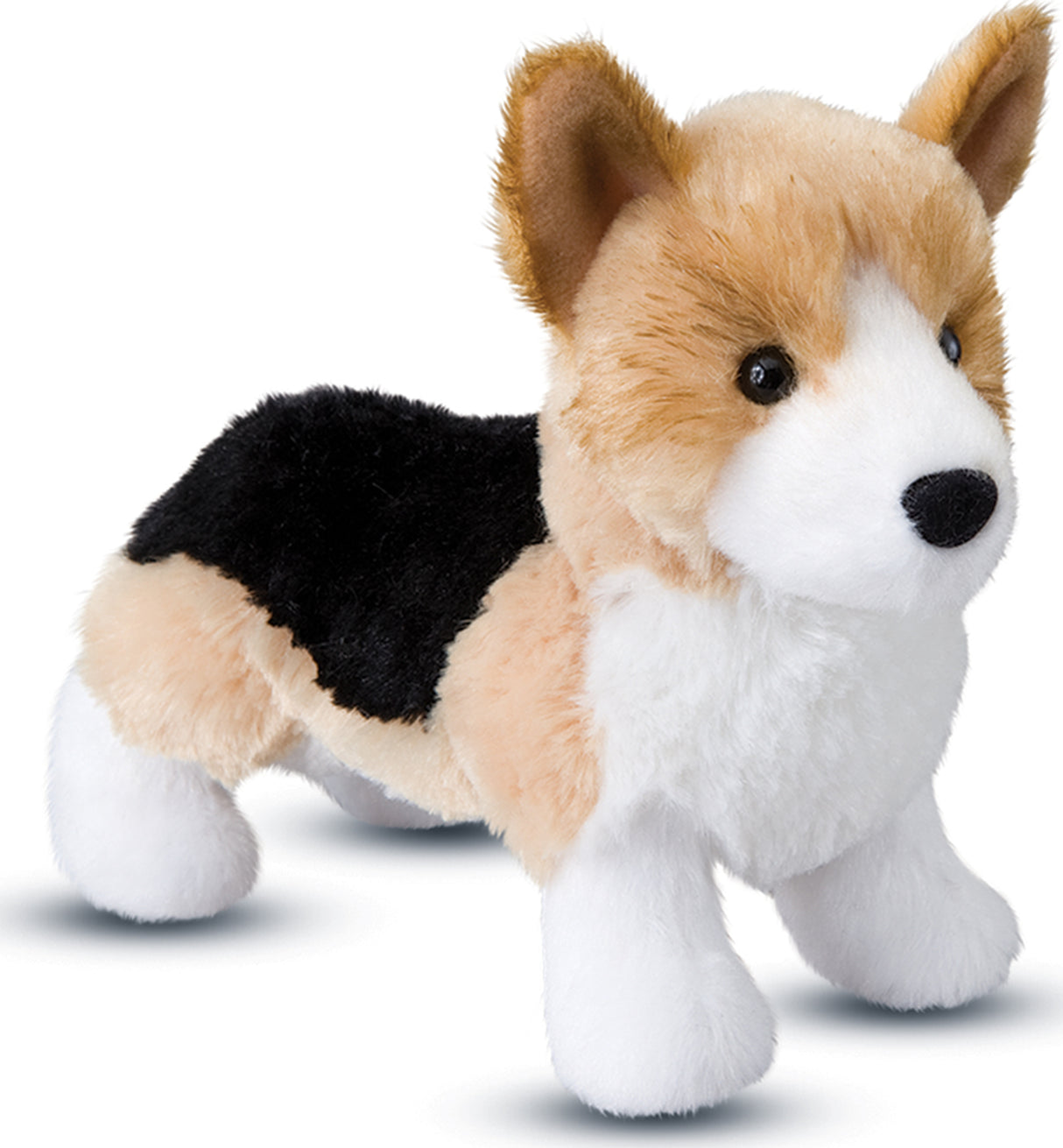 Shortie the Corgi