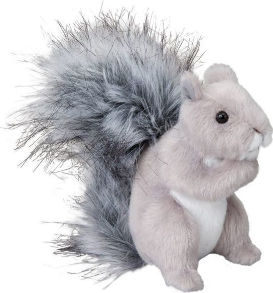 Shasta Grey Squirrel