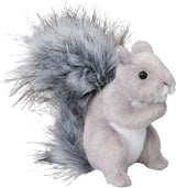 Shasta Grey Squirrel