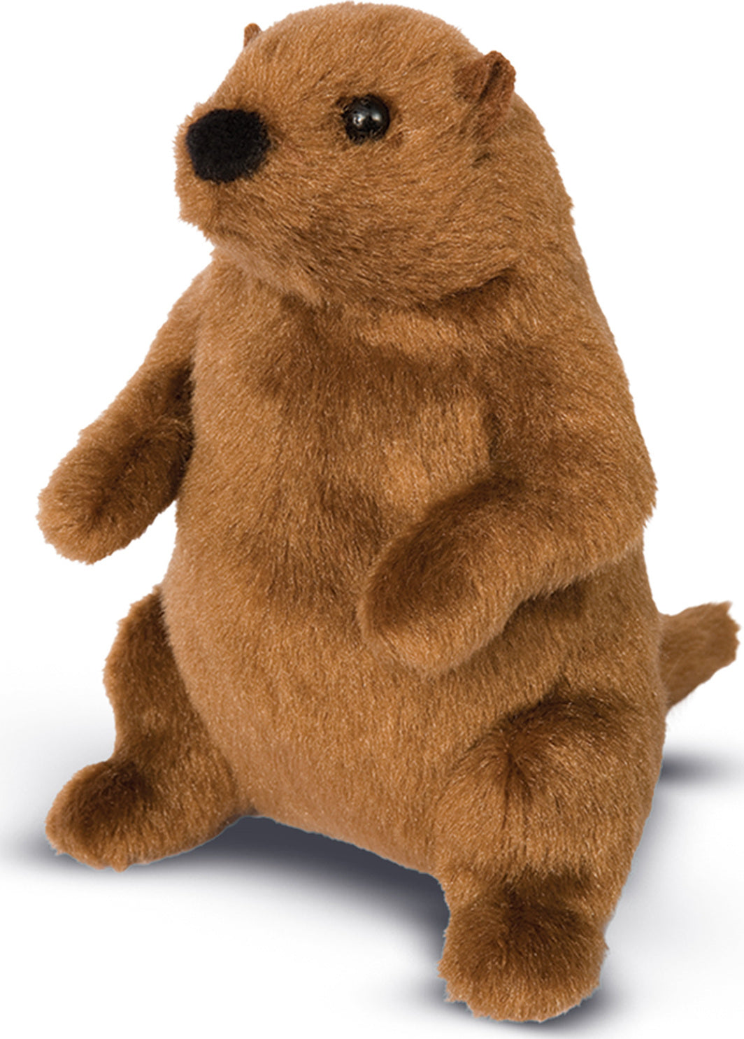 Mr G Groundhog