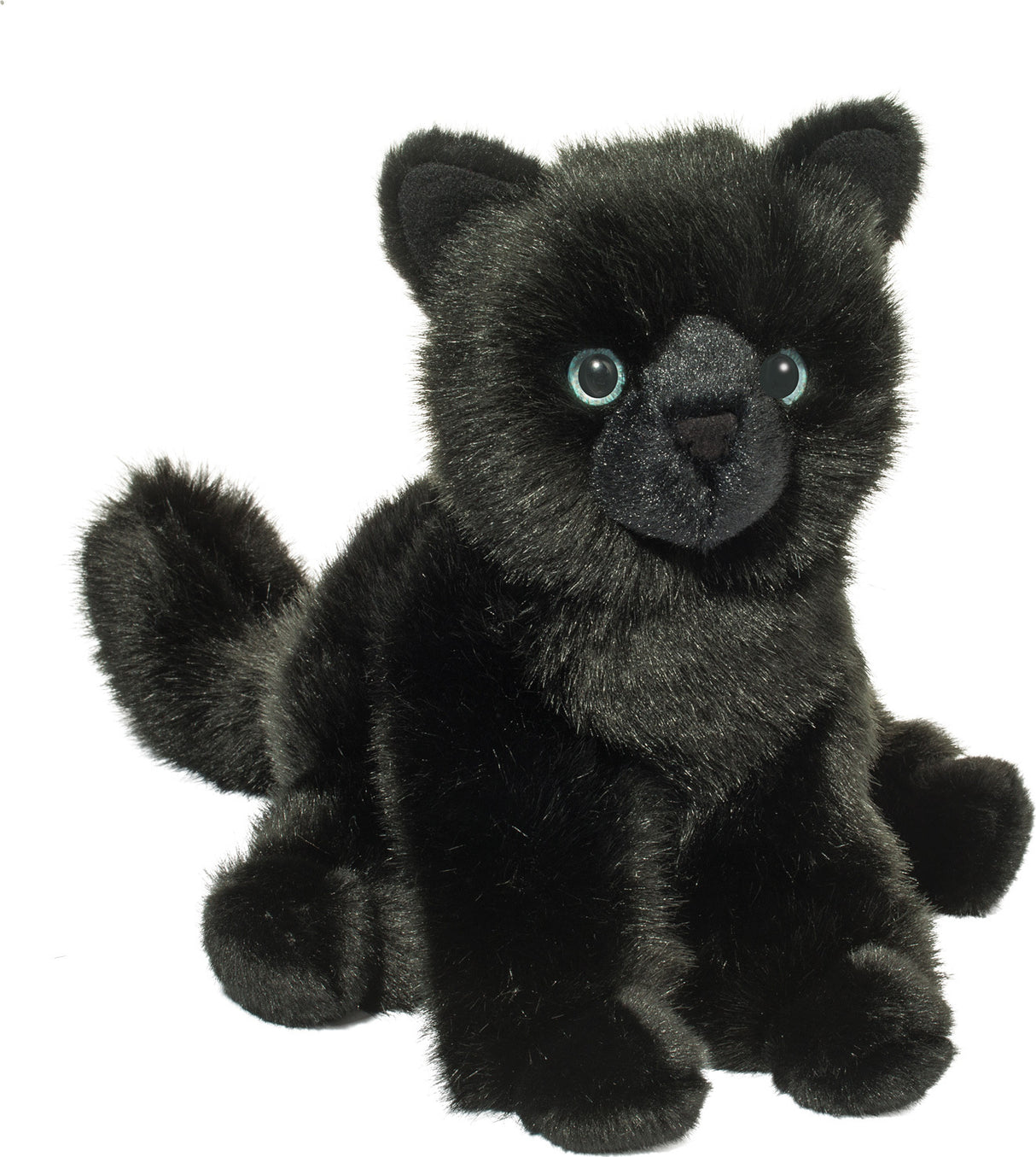Salem Black Cat*