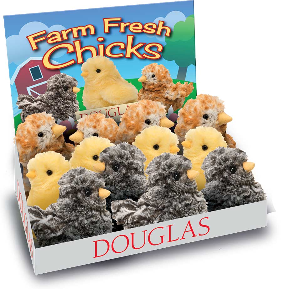 Chicks Asst 12Pcs