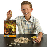 Real Gold Dig Kit - Dig Up Real Pyrite Nuggets (Vial of Real Gold Included!)