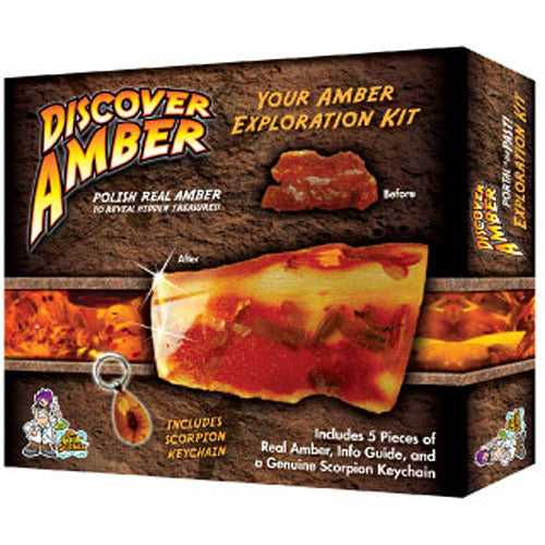 Discover Amber - Catalog 2011
