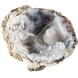 Discover with Dr. Cool Break Open 2 Real Geodes Find Crystal Treasure Kit