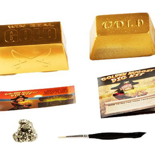 Dig for Real Gold by Discover with Dr. Cool